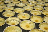 PURE NATURE CANNED PINEAPPLE / HIGH VITAMIN C, FIBER / BRIGHT COLOR, TANGY SWEET FLAVOR