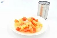 FRUIT COCKTAIL IN LIGHT SYRUP / CLEAN PROCESS / VEGAN FRIENDLY INGREDIENT