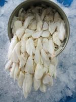 VIETNAM PREMIUM CRAB LUMP MEAT / NATURAL PROTEIN SOURCE / SWEET, TENDER, HIGH-QUALITY TEXTURE
