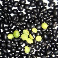 CLEAN LABEL BLACK BEANS WITH GREEN HEART / PLANT-SOURCED INGREDIENT