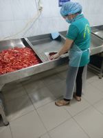 VIETNAM NATURAL FROZEN WATERMELON JUICE / RICH IN VITAMIN C & MINERALS / SWEET, FRESH, READY TO DRINK