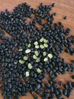 GREEN CORE BLACK BEANS / CLEAN LABEL / PLANT-BASED / NATURAL ORIGIN