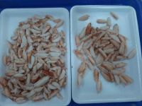 WILD-CAUGHT CRAB MEAT / CANNED SEAFOOD / CLEAN PROCESSING