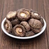 DRIED SHIITAKE MUSHROOM / CLEAN LABEL / PLANT ORIGIN / NATURAL DRY