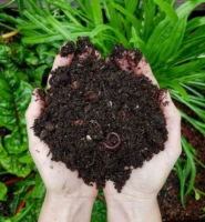VERMICOMPOST FOR ORGANIC GROWING / PLANT ENRICHMENT / NON-TOXIC