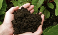 NATURAL EARTHWORM COMPOST / ECO-FRIENDLY FERTILIZER / CLEAN LABEL