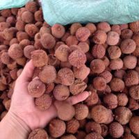 LYCHEE DRIED WHOLE FRUIT / CLEANLY PREPARED / SWEET TASTE