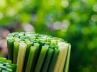 ECO STRAWS FROM NATURAL GRASS / CLEAN ALTERNATIVE / SAFE FOR ENVIRONMENT