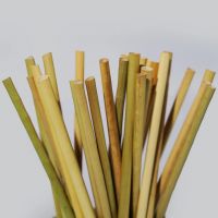 GRASS-BASED DRINKING STRAW / PLASTIC-FREE / CLEANLY PROCESSED