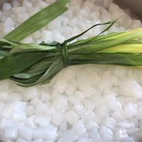 PURE NATA DE COCO / CLEAN LABEL / PLANT-BASED / READY TO SERVE
