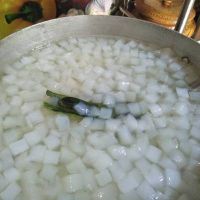 TENDER NATA DE COCO / FRUIT DESSERT BASE / PLANT-DERIVED / NO PRESERVATIVES