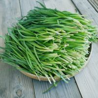 PURE CHIVES LEAVES / IQF FROZEN / NO ADDITIVES / NATURAL GREEN