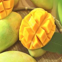 Frozen Mango Chunks Ã¢ï¿½ï¿½ Premium Quality Vietnam Origin