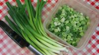 PURE FROZEN GREEN ONIONS, FOR FRESHNESS