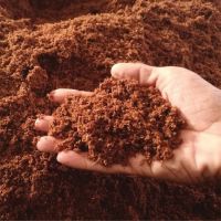 PREMIUM COIR PEAT / ORGANIC BASE / PLANT-GROWN SUPPORT