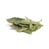 SUN-DRIED AVOCADO LEAVES / WHOLE FORM / NO PRESERVATIVES
