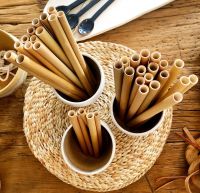 PURE BAMBOO STRAW / CLEAN LABEL / PLANT-SOURCED / ECO DESIGN