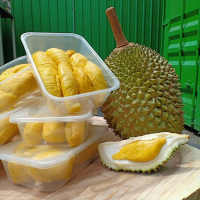PLANT-BASED FROZEN DURIAN, CLEAN LABEL FORMULA