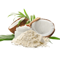 DAIRY-FREE COCO MILK POWDER / PURE INGREDIENT / READY TO USE