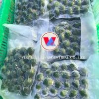 PREMIUM FROZEN ARECA NUT / FOOD-GRADE / NO ADDITIVES