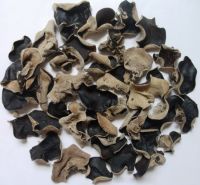 BLACK FUNGUS FOR COOKING / PURELY DRIED