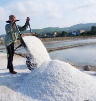 OCEAN HARVESTED SALT / NON-IODIZED / CLEANLY PROCESSED / FOOD GRADE