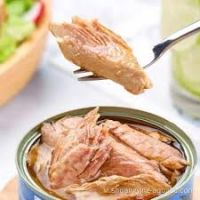 OCEAN PURE TUNA WITH NATURAL PLANT EXTRACTS FOR BALANCED DIET