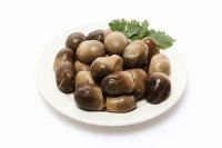 NATURAL SALTED STRAW MUSHROOM / CLEAN TASTE