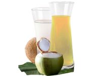 COCONUT CONCENTRATE FROM VIETNAM / PREMIUM INGREDIENT