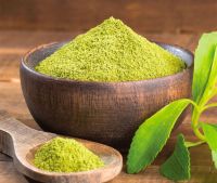 PREMIUM GREEN STEVIA POWDER / NATURAL HERBAL