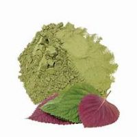 PERILLA LEAF POWDER RICH IN ANTIOXIDANTS