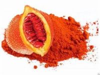 PLANT BASED GAC POWDER RICH IN