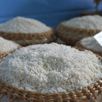 WHOLESALE GLUTINOUS RICE PURE STICKY RICE