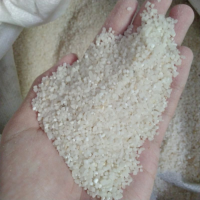 TOP SELLING BROKEN RICE PREMIUM QUALITY