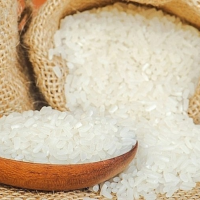 HIGH QUALITY BROKEN RICE 100% PURE