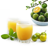 HOT DEAL VIETNAM PURE CALAMANSI JUICE