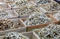 DRIED ANCHOVY SEAFOOD SNACK AND SOUP INGREDIENT