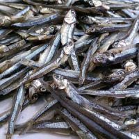 WHOLESALE DRIED ANCHOVY BULK EXPORT READY TO COOK