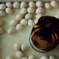 ORGANIC CANNED QUAIL EGGS SHELLED AND STERILIZED