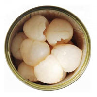 WHOLESALE CANNED LYCHEE SWEET AND JUICY TROPICAL FRUIT