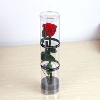 Top quality single head preserved fresh flower rose with stem