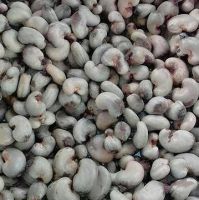 Quality Cashew Nuts And Kernel in Bulk