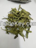 stevia dry leaves and stevia powder
