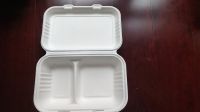 biodegradable food takeout box