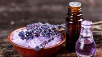 Essential Oils Plants, Carrier Oils, Natural Butters And Related Products