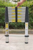 3.2M telescopic ladder (one times fold)