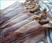 Dried Cuttlefish