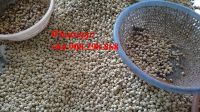 the best price lutos seeds in VIet NAm