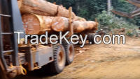Timber Wood For Sale