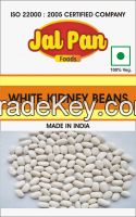 CANNED WHITE KIDNEY BEANS